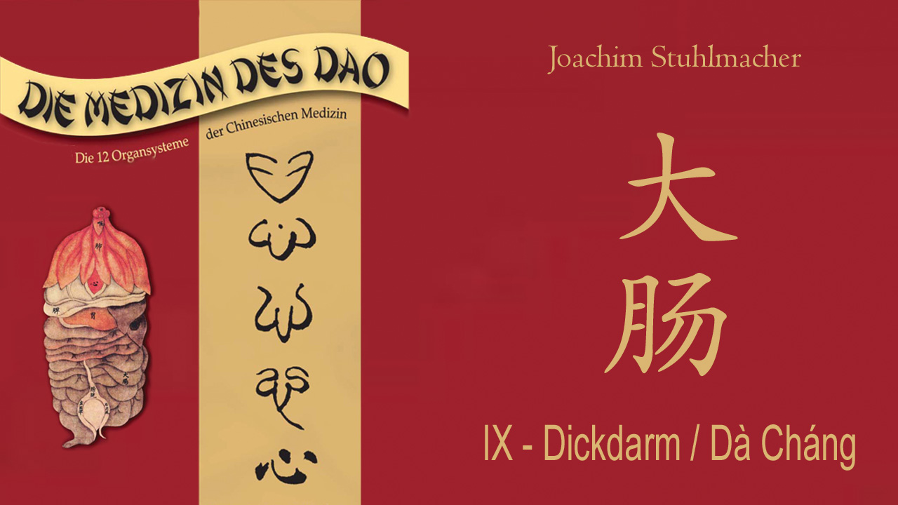 Die 12 Organsysteme 9: Dickdarm / Dà Cháng (Video on Demand)